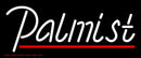 Palmist With Red Line Handmade Art Neon Sign