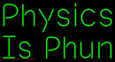 Physics Is Phun Handmade Art Neon Sign