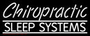 Chiropractic Sleep Systems Handmade Art Neon Sign