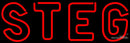 Steg Neon Beer Sign