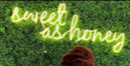 sweet as honey neon sign